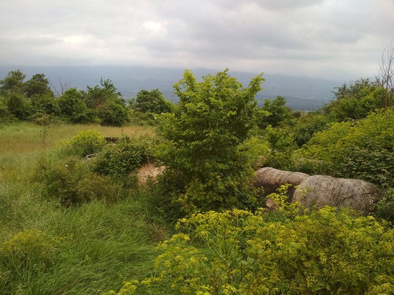 Paisaje mosaico